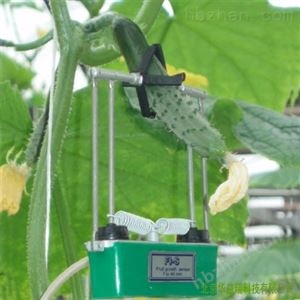 FI系列果实生长传感器