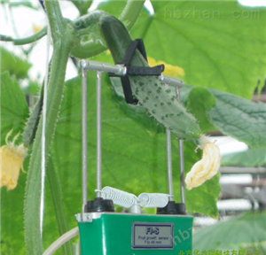 植物生长变化测量仪
