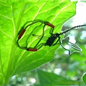 LT-1M/LT-1Mi叶面温度传感器