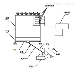 杠杆式土壤蒸渗仪