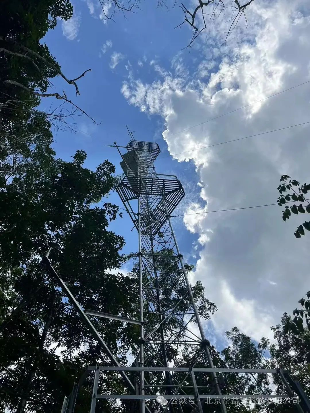 案例分享 | 海南大学森林生态系统碳水通量综合监测