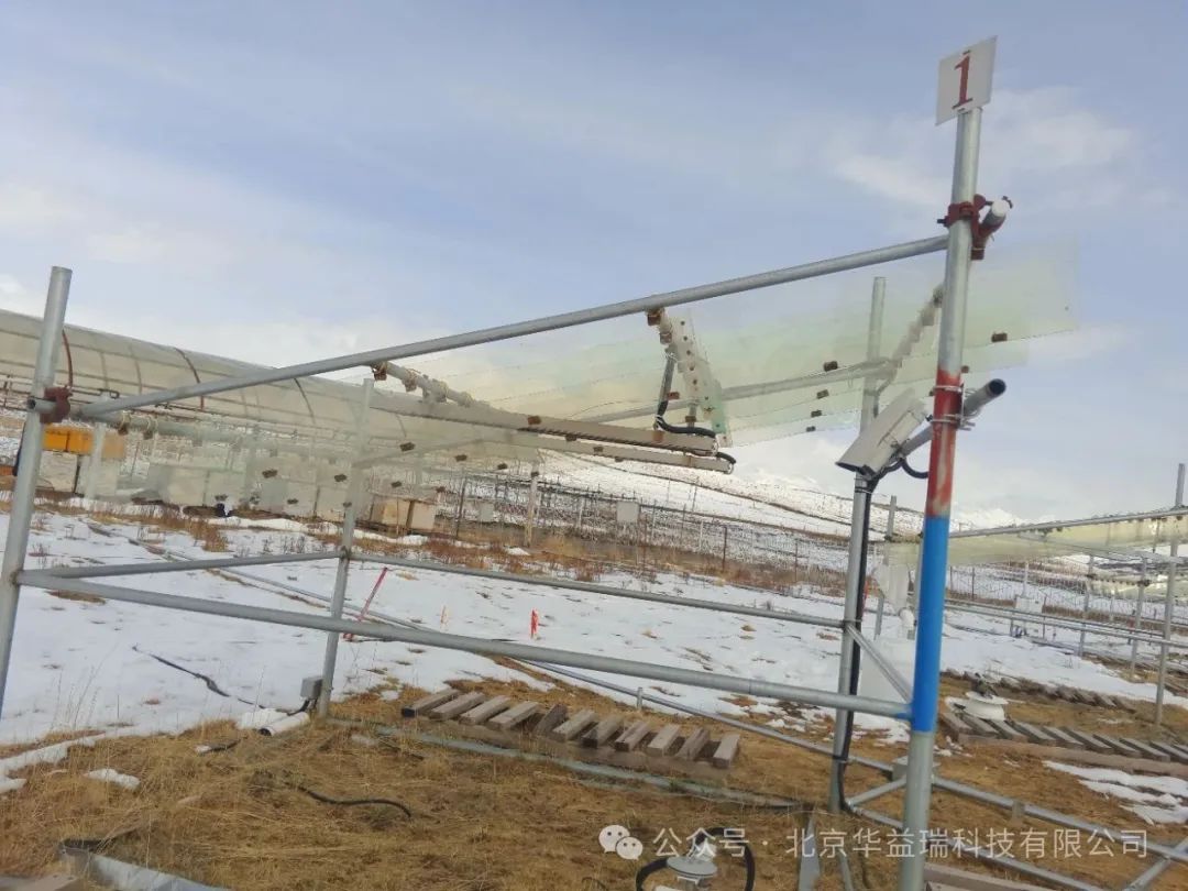 贺金生教授团队解析青藏高原植物不同功能群对季节非对称性增温的特异性响应