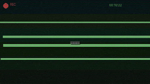 清晨公园散步 - 九一视频 日常记录